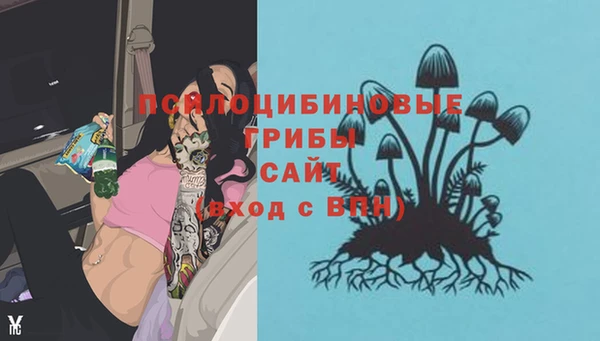 гидра Алексин