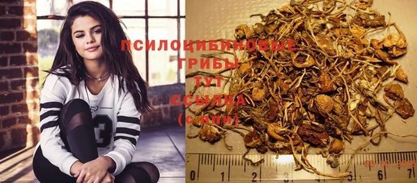 гидра Алексин