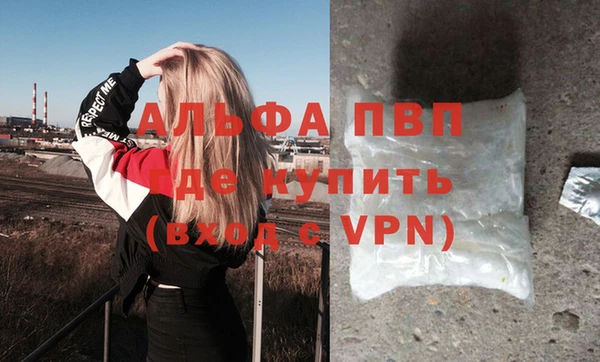 гидра Алексин