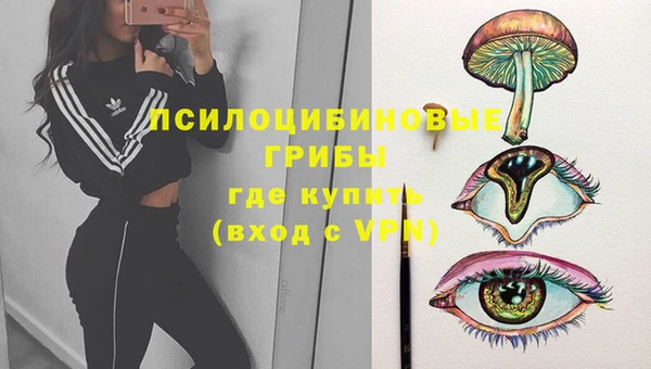 прущие крисы Алексеевка