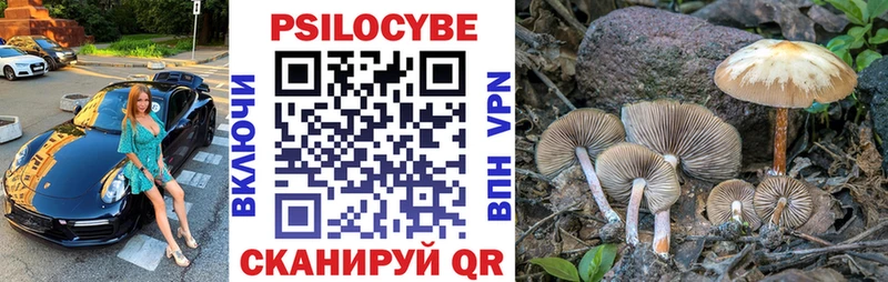 где продают   MEGA ссылки  Галлюциногенные грибы ЛСД  Приморск 